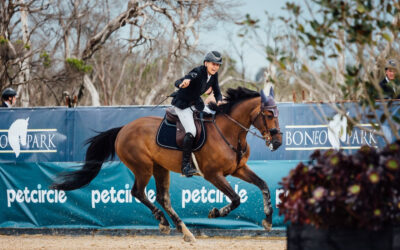 McDermott, Magnier and Williams Shine on Day 3 of the Pet Circle Australian Jumping Championships.